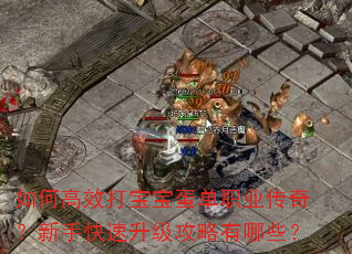 如何高效打宝宝蛋单职业传奇?新手快速升级攻略有哪些? 如何高效打宝宝蛋单职业传奇?新手快速升级攻略有哪些?