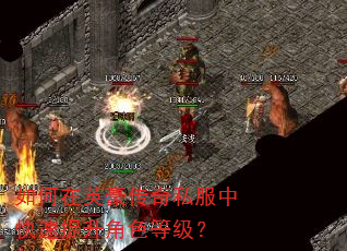 如何在英豪传奇私服中快速提升角色等级? 如何在英豪传奇私服中快速提升角色等级?