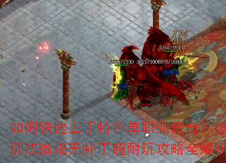 ��ο���������ɫ��ְҵ���棿�����淨΢���޲��������湥��ȫ������