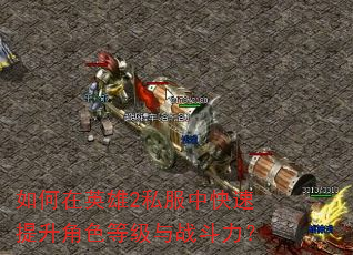 如何在英雄2私服中快速提升角色等级与战斗力? 如何在英雄2私服中快速提升角色等级与战斗力?