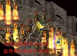 如何快速提升9you热血传奇私服角色等级? 如何快速提升9you热血传奇私服角色等级?