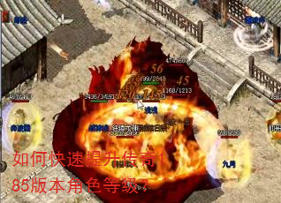 如何快速提升传奇185版本角色等级? 如何快速提升传奇185版本角色等级?