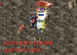 如何快速提升热血传奇私服999角色等级? 如何快速提升热血传奇私服999角色等级?