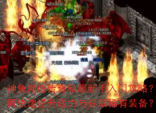 神兔网络传奇私服新手入门攻略?如何快速提升战力与获取稀有装备? 神兔网络传奇私服新手入门攻略?如何快速提升战力与获取稀有装备?