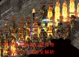 �����ѳ��湫�洫�棿�������Ź���ȫ����