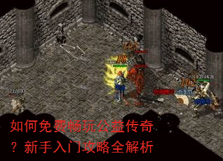 �����ѳ��湫�洫�棿�������Ź���ȫ����