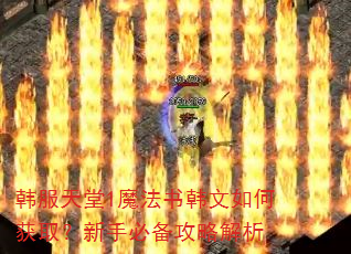 韩服天堂1魔法书韩文如何获取?新手必备攻略解析 韩服天堂1魔法书韩文如何获取?新手必备攻略解析